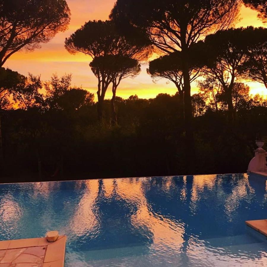 La Villa D'Aimee Vidauban Exteriör bild